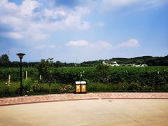 -北京张裕爱斐堡酒庄