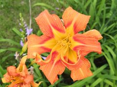 -长春公园(普阳街道)