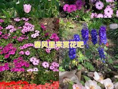 -国家植物园
