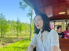 -黄海国家森林公园