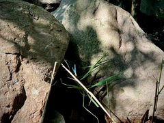 -崂山九水游览区