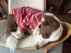 -时间抽屉(裕华万达广场店)