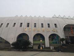 -自贡恐龙博物馆