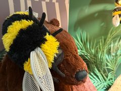 -宜家家居(四元桥商场店)