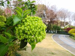 -杭州城北体育公园