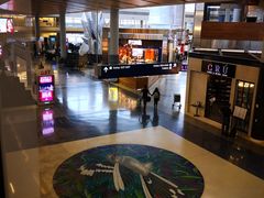 -达拉斯 沃斯堡国际机场