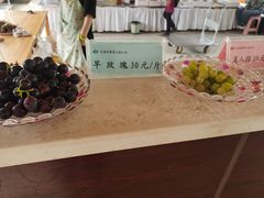 -白鹿原葡萄主题公园