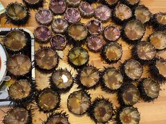 -海胆小馆(东北水饺·春柳店)