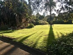 -墨尔本皇家植物园