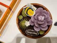 -哈根达斯(皇城恒隆广场店)