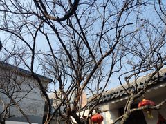 -芙蓉街-王府池子