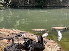 -昆明动物园