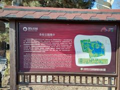 -大兴滨河森林公园