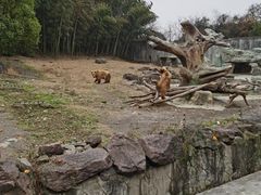 -宁波野生动物园