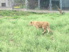 秦岭野生动物园-西安秦岭野生动物园