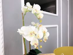 -MIVI野生眉纹绣纹眉