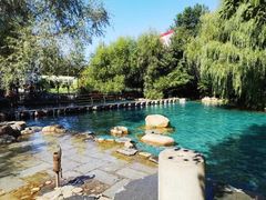 -大鹅岛绿色生态美食园