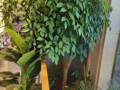 -鸿星花园酒家(银亿家园店)