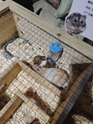 -酷嗒动物文化乐园(cutezoo西溪乐天城店)