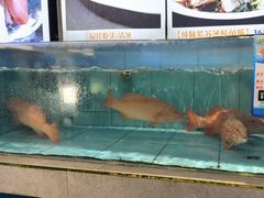 -粥旺庄(芳村店)