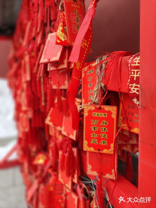 中心庙图片
