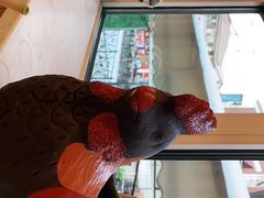 -芭堤雅泰国餐厅(胜利路店)
