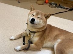 -三目仓咖啡(贤南路店)