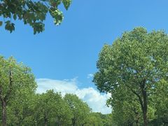-上海长兴岛郊野公园