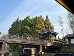 -溱湖国家湿地公园