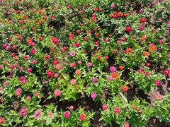 -永定河休闲森林公园