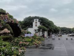-无锡蠡湖国家湿地公园-蠡园