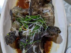 -范饭椰林川湘味海鲜·椰子鸡(三亚湾椰梦长廊店)