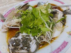 -凤城礼记鱼翅海鲜酒家(新马路总店)