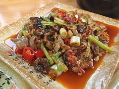 -青城甲(青城山店)