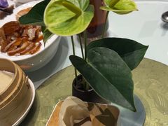 -眉州东坡(北苑华贸店)
