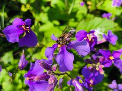 -苏州河梦清园环保主题公园