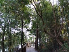 -广州市流溪河国家森林公园