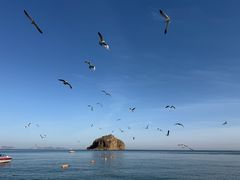 -棒棰岛宾馆景区
