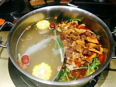 -手选潮汕鲜活牛肉火锅(二七广场店)