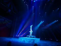 -珠海横琴长隆《卡卡虎奇遇记》