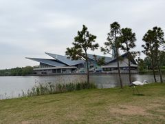 -盐城丹顶鹤湿地生态旅游区