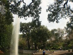 -九龙公园