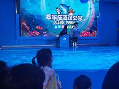 -石家庄海洋公园