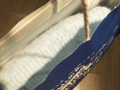 -美丽衣橱(春熙路店)