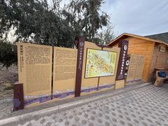-金塔沙漠胡杨林景区