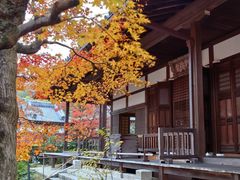 -常寂光寺