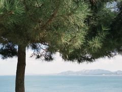 -养马岛旅游度假区