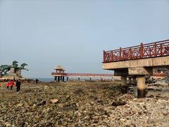 -养马岛旅游度假区