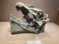 -自贡恐龙博物馆