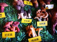 -菌海森林·非遗野生菌火锅(西山区滇池路摩根道店)